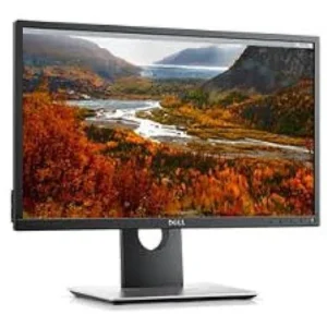 Dell P22131 22''inc screen monitor